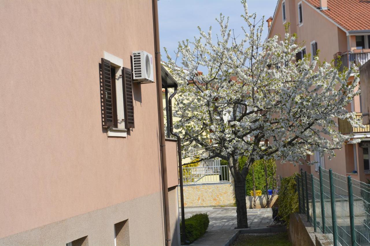 Apartments Denis & Lucija Rovinj Exterior photo